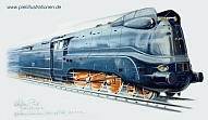 Lok15-k