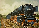 Lok31-k