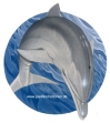 Delphin