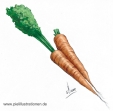 Food01