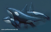 Orca01