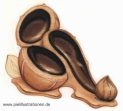 Schoko03